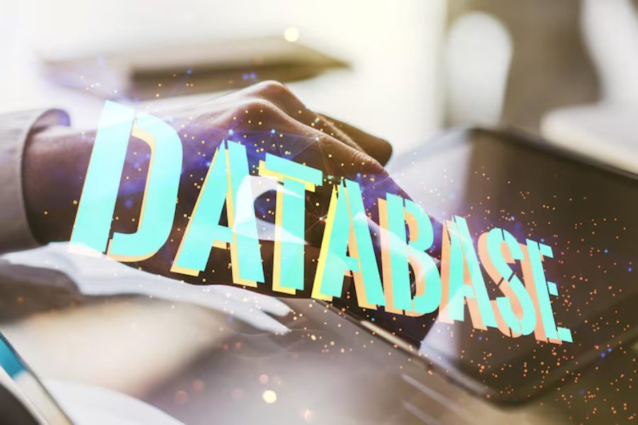 Zero-Party Data Mastery in Braze