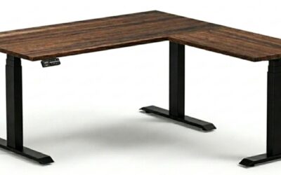 9 Things to Look Out for Before Buying an L-Shaped Standing Desk in Canada